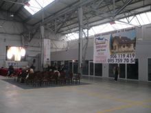gorzowskie_dni_ekologii.jpg